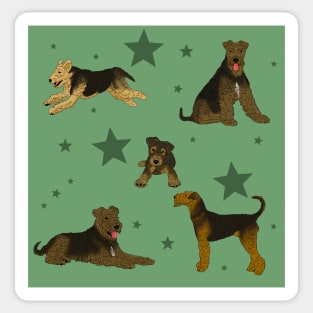 Airedale Terriers Pattern Stars Sage Sticker